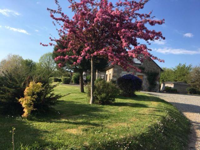 Le Clos Saint Jean Dragey Bagian luar foto